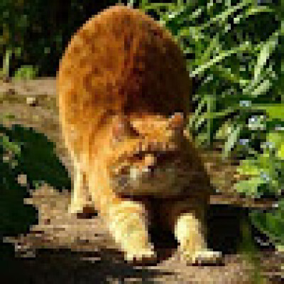 Levian  zoekt een Kamer / Appartement / Huurwoning / Studio / Woonboot in Amsterdam