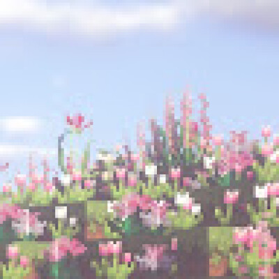 Zahra zoekt een Kamer / Appartement / Huurwoning / Studio / Woonboot in Amsterdam