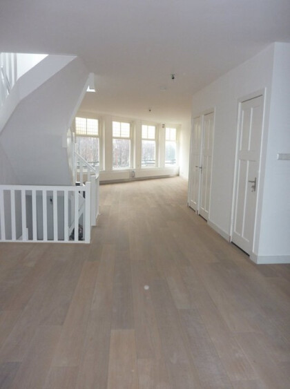 Living /dining room, from the back looking forward