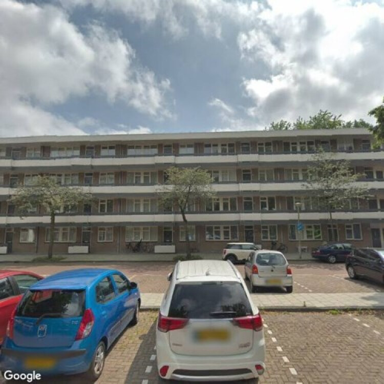 Bolestein, Amsterdam