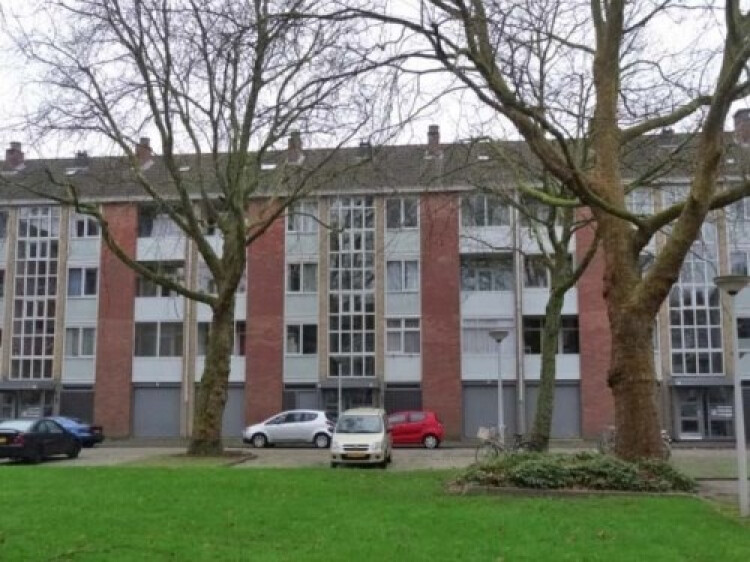 Grote Ruwenberg, Amsterdam