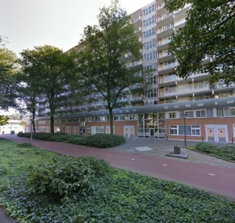 Hoogoord