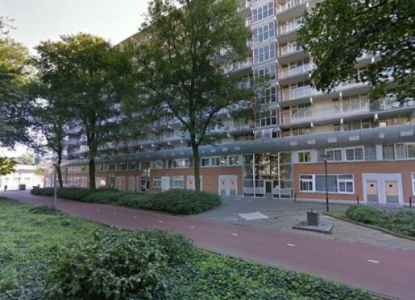 Hoogoord