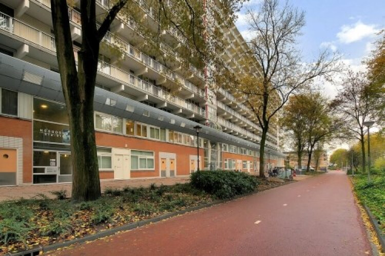 Hoogoorddreef, Amsterdam