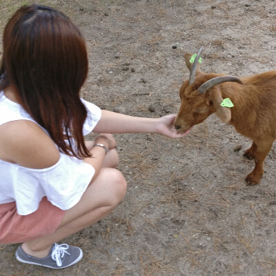 Suzan zoekt een Kamer / Appartement / Studio in Amsterdam