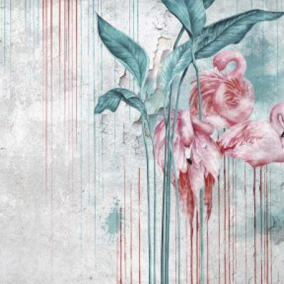 Natalia zoekt een Appartement / Huurwoning / Studio in Amsterdam